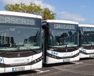 Autocarros de Cascais